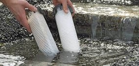 Besin Bağlayıcılar