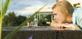 Fıskiye ve Fıskiye Pompaları