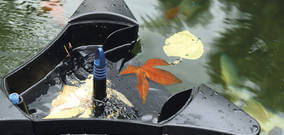 Yüzey Temizleyiciler