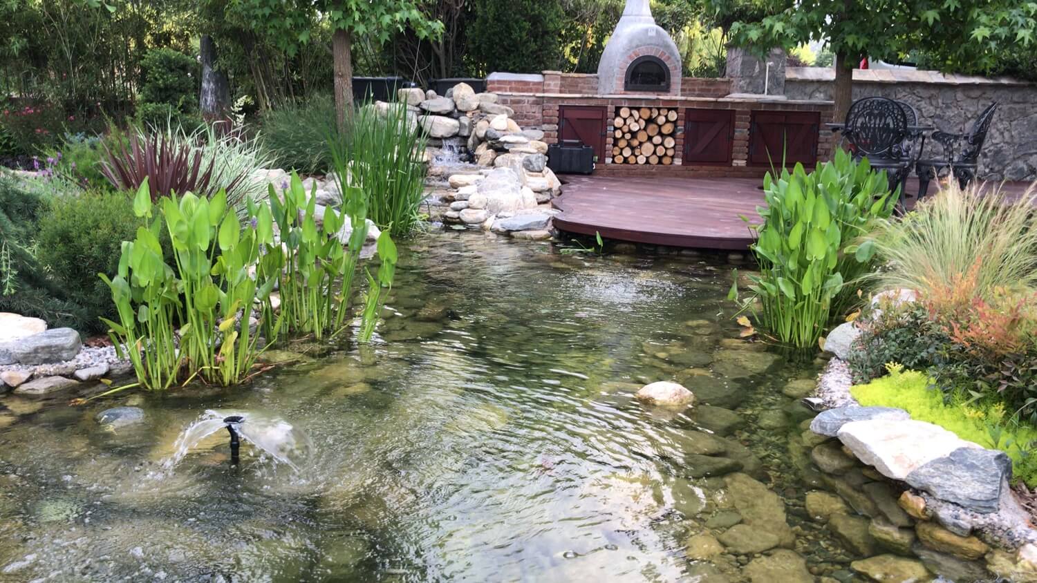 Biyolojik Gölet Fotoğraf