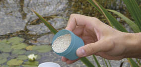 Nitrifikasyon Bakterileri