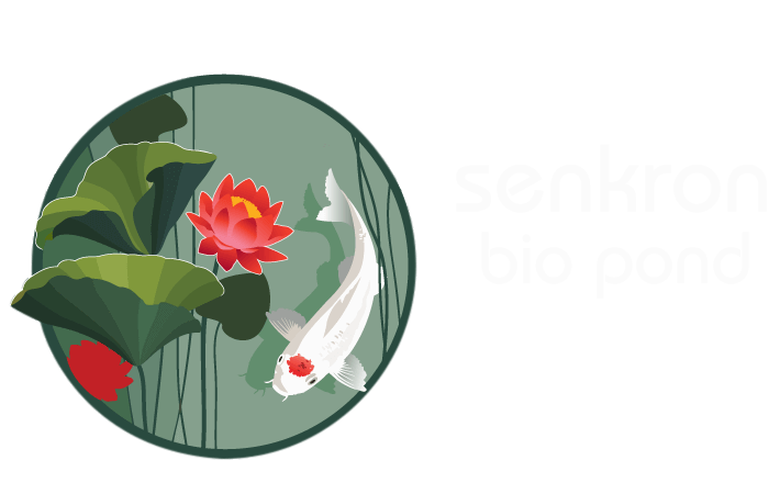 Senkron Bio Pond | Biyolojik Gölet | Havuz Kimyasalları